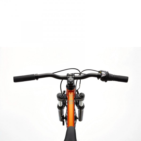 Cannondale Kids Trail 20 children's bike