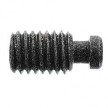 Tornillo prisionero para...