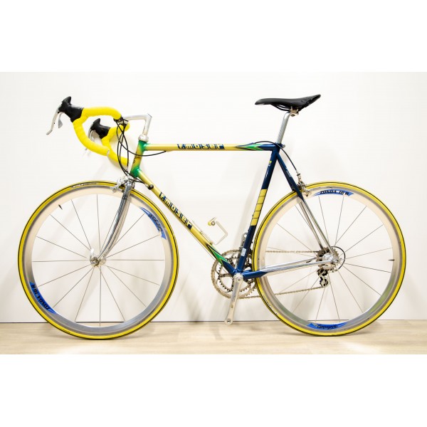 Bicicleta F. Moser Pro Evolution usada