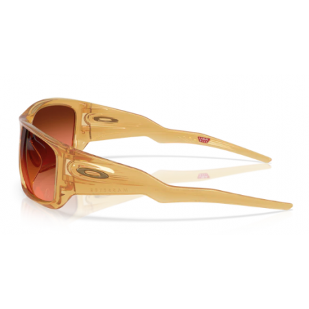 Oakley Occhiali Masseter Translucent Light Curry w/ Prizm Brown Gradient