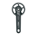 Aerozine Pedivella Xeon (Direct Mount Sram) 170-175mm