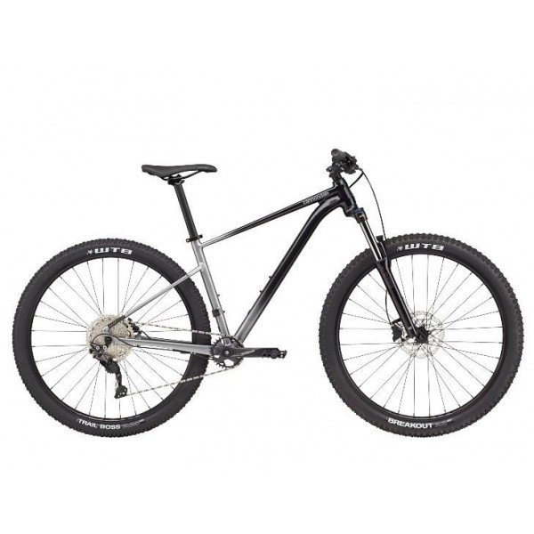 Bici Cannondale Trail SE 4 (Grigio/Nero)