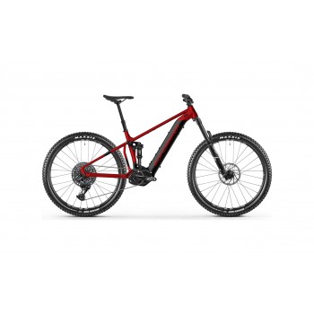 Biciclette - Vendita Online - Bike Academy Shop Lucca