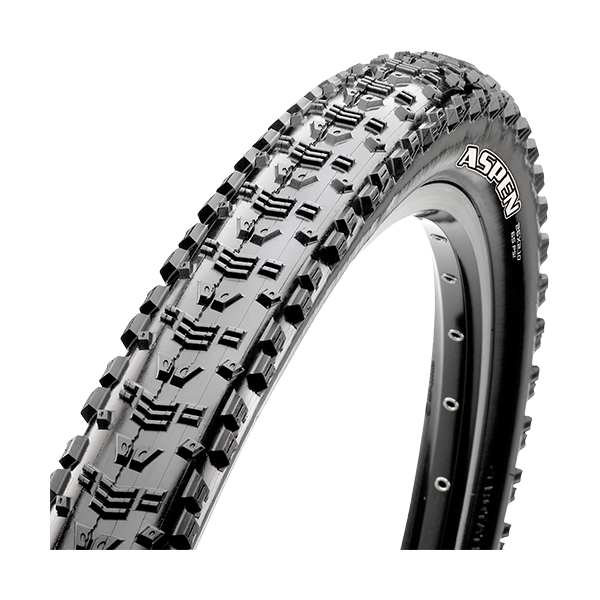 Copertone Maxxis Aspen 29x2,10