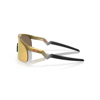 Oakley Resistor Junior... 2