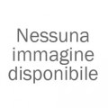 Pissei